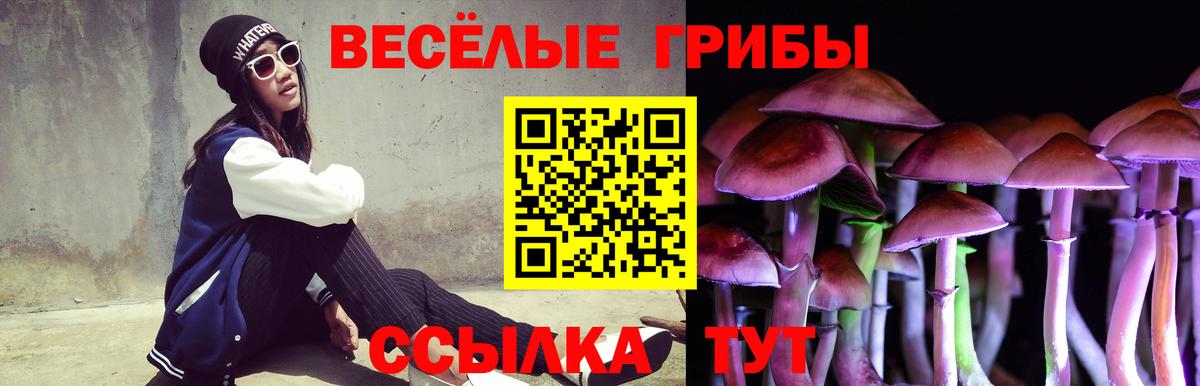 Галлюциногенные грибы ЛСД Анапа